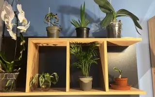 Podpořte in vitro záchranu a kultivaci ohrožených orchidejí a rostlin