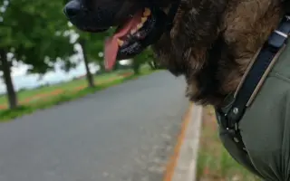 Léčba, která nekončí - Fůrie