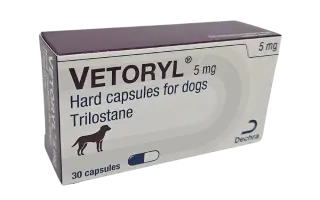 Pomoc pro Čika: boj s Cushingovým syndromem