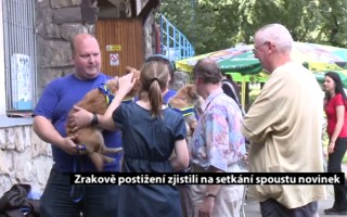 Canisterapie CANTES v krajích ČR jako sociální rehabilitace