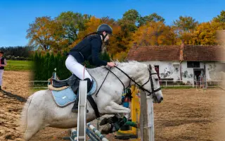 Rozjeďme Creativ Horse Training: Místo, kde děti a koně mluví stejným jazykem