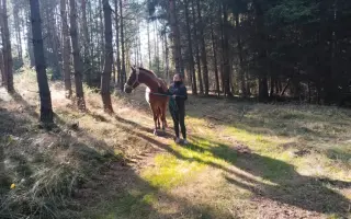 Pro Diega