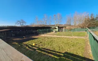Klidné místo pro zraněné psí duše