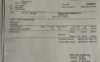 Pomoc kočkám dochází nám zásoby krmení