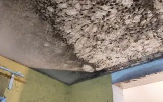 Pomoc pro Danielu a její děti