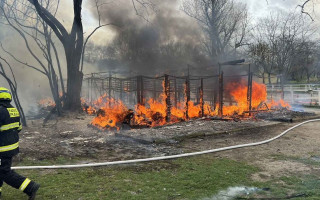 Obnova jezdecké školy po požáru