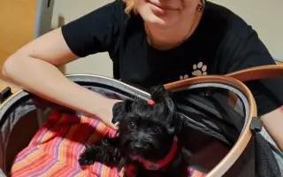 Pomohli jste Orny podstoupit život zachraňující operaci