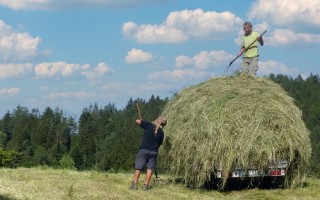 Ovčín pro zachráněné ovce a kozy v Motýlím království