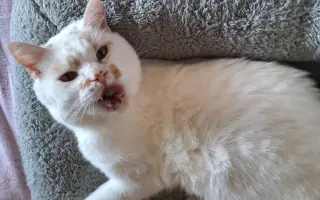 8 nalezených Lásek