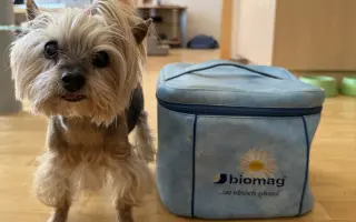 Pomozte Kessynce znovu se postavit na všechny čtyři 🐾
