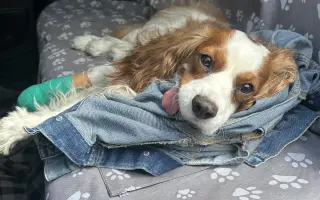 Pomohli jste Charliemu podstoupit akutní revizi kyčle