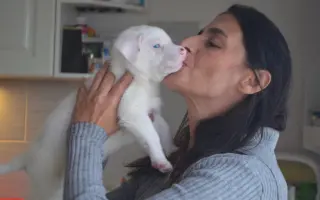 Pomohli jste psímu hospici Dejte nám šanci v Bukovince