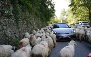 Z nuly zpět za hledáček - aneb nový začátek po velkém pádu