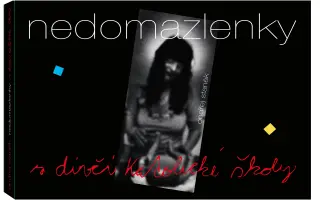 Pomozte mi vydat fotoknihu NEDOMAZLENKY Z DÍVČÍ KATOLICKÉ ŠKOLY