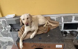Pomohli jste Pavlovi a Quentymu