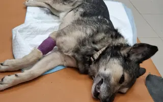 Druhá šance pro Dirka z osady na lepší život