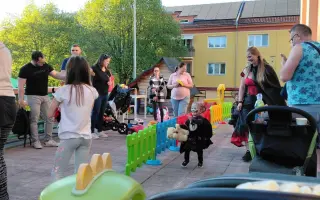 Rozskákaný a spokojený Ostrov! Mobilní zázemí pro akce Žabičky