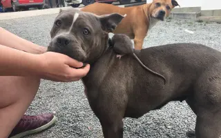 Pomozme Ele opět poznávat svět