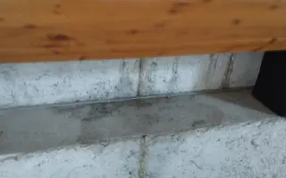 Zachraňme střechu Nadace Josefa Plívy
