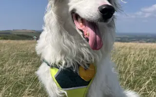 Víc času pro Denyšku ❤️