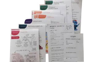 Dostaňte s námi do škol program Antikoncepce, fungování těla a vztahy