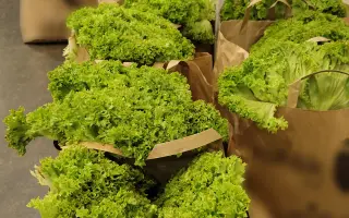Když nezbývá na jídlo – Pomozte Unii pečujících zajistit potravinovou pomoc