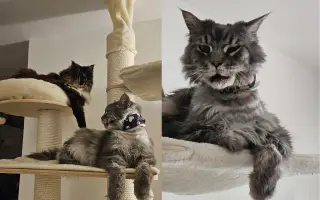 Áronkův boj s rakovinou