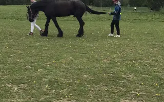 Pomozte Melcherovi prožít důstojný důchod