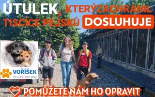 Pomůžete nám s opravou útulku?