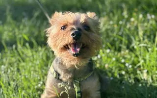Pomoc Majkynkovi zpět na nohy♥️