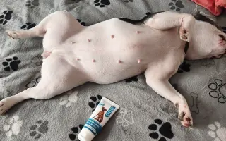 Zachráňte Marilyn bojující s rakovinou