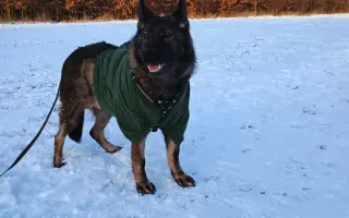 Pomoc Furině v boji s lupusem (SLE)