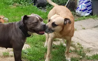 Pomozme Ele opět poznávat svět