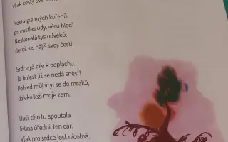 Pomozme handicapované umělkyni