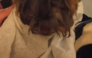 Bojovník Bertík vážící pouhé 1 kilo