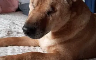Pomáháme tam, kde to jiní již vzdali