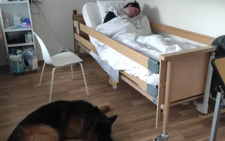 Pomozme Dominikovi znovu chodit