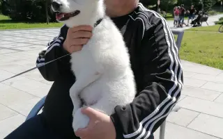 Speciální vozík pro Dalibora – pomoc v boji s ALS