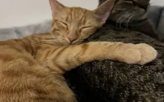 Pomozme Teovi znovu chodit bez bolesti