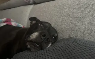 POMOC PRO ABBEY – DŮSTOJNÁ PALIATIVNÍ PÉČE