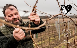 Pomozme Marci a její rodině udržet vinařství KADRNKA