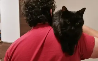 Pomoc Panu Černá Fazole překonat FIP