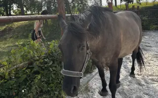 Už ani jedno bolavé sousto