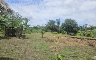 Pomozte kmeni huni kuin postavit se na vlastní nohy