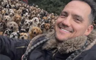 Ministerstvo zvířat - domov pro ty, na které svět zapomněl