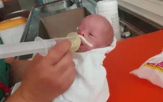 Pomozte Pájovi s dopravou