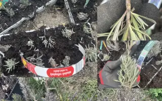 Podpořte bylinkový projekt Azeret Herbs