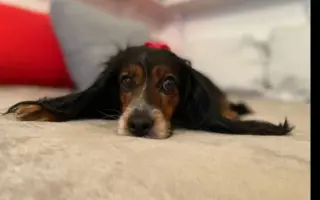 Shamy bouje s bolestí. Pomozme jí prožít stáří důstojně