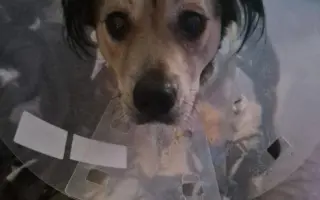 Pomozte Mii znovu vidět svět 🌸