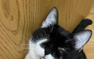 Operace očí a život bez bolesti pro Černocha